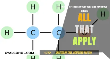 Alcohols: Which of These Molecules Are They?