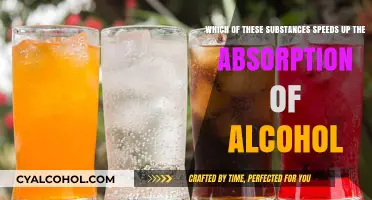 How to Speed Up Alcohol Absorption: Substances to Consider