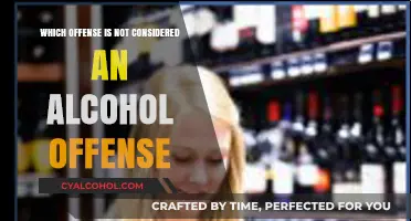 Surprising Offenses Not Classified as Alcohol-Related Violations
