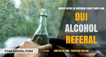 Santa Ana DUI: Court Alcohol Referral Guide
