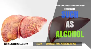 The Liver: Our Body's Detoxification Powerhouse