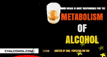 Liver's Role in Alcohol Metabolism Explained