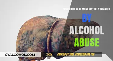 Alcohol Abuse: The Liver Takes a Beating
