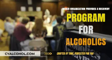 Alcoholics Anonymous: The Leading Organization for Recovery Programs
