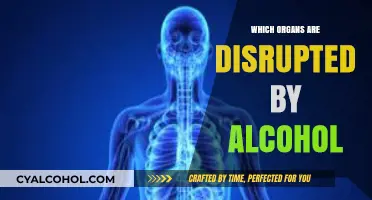 How Alcohol Disrupts Vital Organs: Liver, Brain, and Beyond Explained