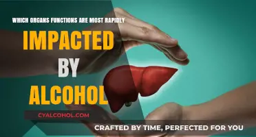 Alcohol's Rapid Impact: Which Organs Suffer First?