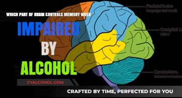 Alcohol's Impact: Memory and Brain