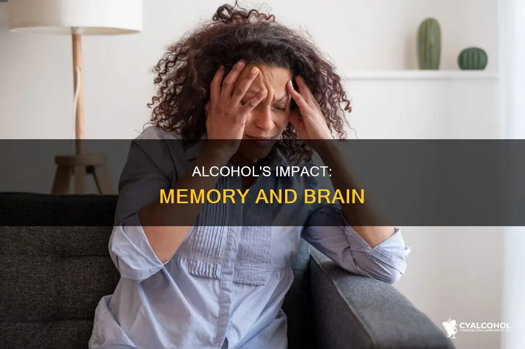 which part of brain controls memory when impaired by alcohol