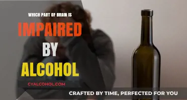How Alcohol Impairs the Brain's Cerebellum and Prefrontal Cortex