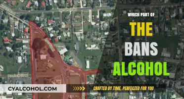 Understanding Alcohol Bans: Which Regions Prohibit Alcohol Consumption?