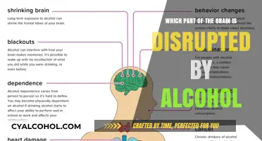 Alcohol's Impact: Brain Disruptions Explained