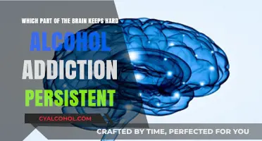 Hard Alcohol Addiction: Brain's Persistent Craving Mystery