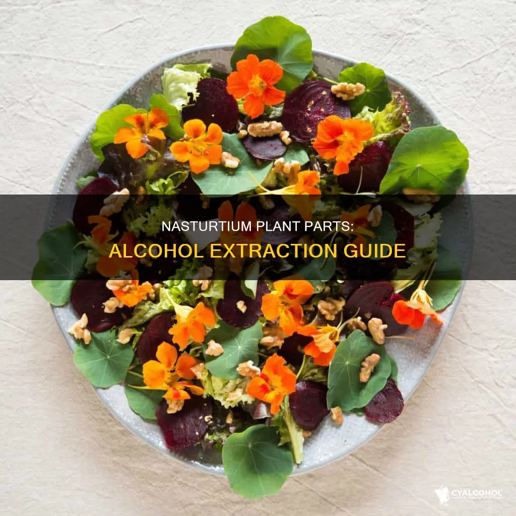 which parts of nasturtium plant are best extracted in alcohol