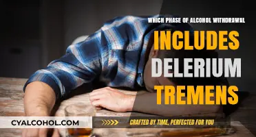 Understanding Alcohol Withdrawal: The Phase Linked to Delirium Tremens