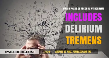 Delirium Tremens: The Severe Phase of Alcohol Withdrawal Explained