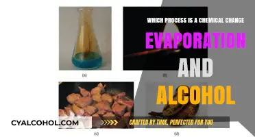 How Evaporation and Alcohol Chemically Transform