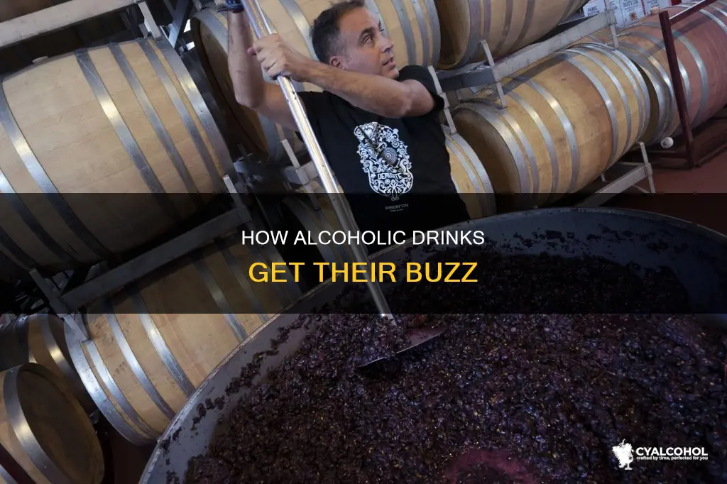 which process produces alcohol ethanol as a waste product
