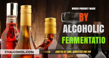 Discover Alcoholic Fermentation: Products Crafted from This Ancient Process