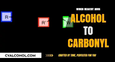 Adding Alcohol to Carbonyl: Key Reagents and Mechanisms Explained