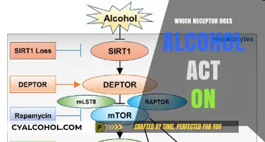 Alcohol's Target: Unveiling the Receptor Behind Its Effects