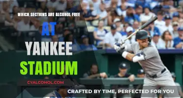 Alcohol-Free Zones at Yankee Stadium: A Guide to Sober Sections