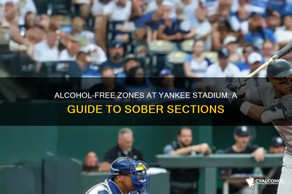 which sections are alcohol free at yankee stadium