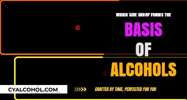Understanding Alcohols: The Role of Hydroxyl Groups in Their Formation