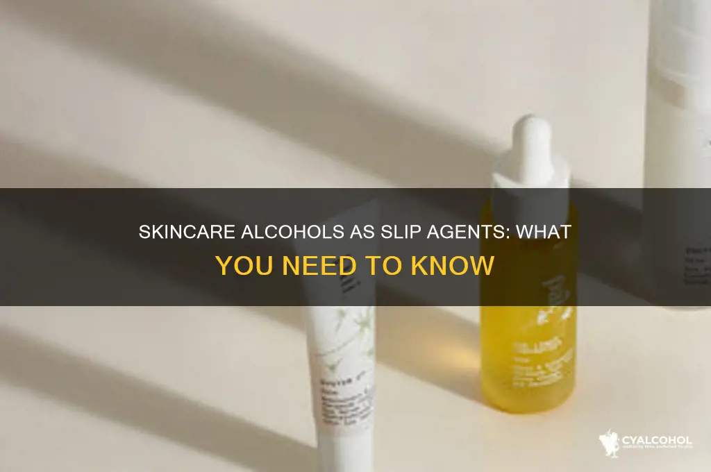 which skincare alcohols are slip agents