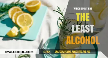Discover the Lightest Spirits: Lowest Alcohol Content Options Revealed
