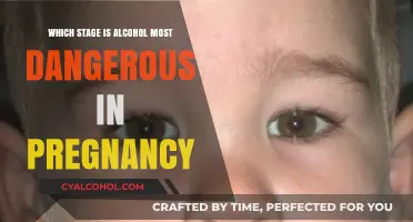 Alcohol's Critical Pregnancy Stage: When Risks Peak for Unborn Babies