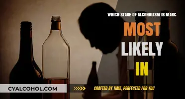 Marc's Alcoholism: Navigating the Stages of Addiction