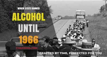 Mississippi's Long Prohibition: Alcohol Banned Until 1966