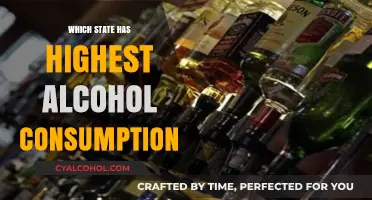 Top Alcohol-Consuming States: Which One Leads the Nation?