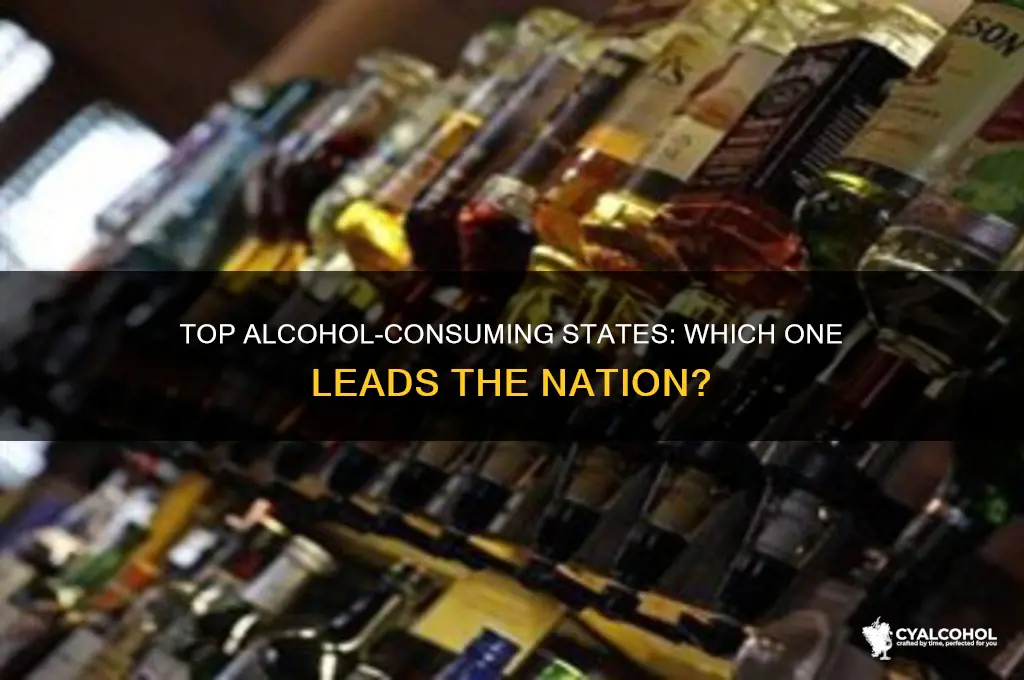 which state has highest alcohol consumption