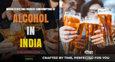 Alcohol Consumption in India: Which State Leads?