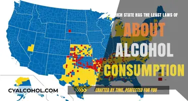 Laws About Alcohol Consumption: States With Fewest Laws