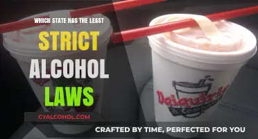 Exploring the State with the Most Lenient Alcohol Regulations