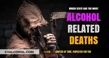 Deadly Drinking: Which U.S. State Tops Alcohol-Related Fatalities?