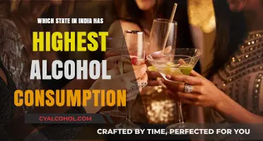 India's Top Alcohol-Consuming State: Surprising Insights Revealed