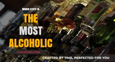America's Booziest State: Unveiling the Highest Alcohol Consumption Rates