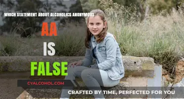 Debunking Myths: False Claims Surrounding Alcoholics Anonymous (AA)