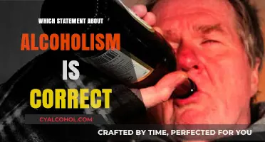 Debunking Myths: What’s Truly Correct About Alcoholism?