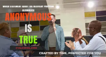 Alcoholics Anonymous: A Path to Recovery and Healing