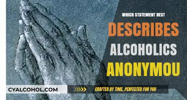 Understanding Alcoholics Anonymous: Core Principles and Community Support Explained