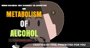 Alcohol's Journey: Absorption and Metabolism Explained