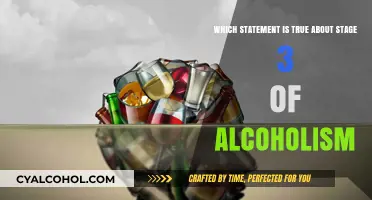 Alcoholism's Darkest Stage: Understanding the True Dangers