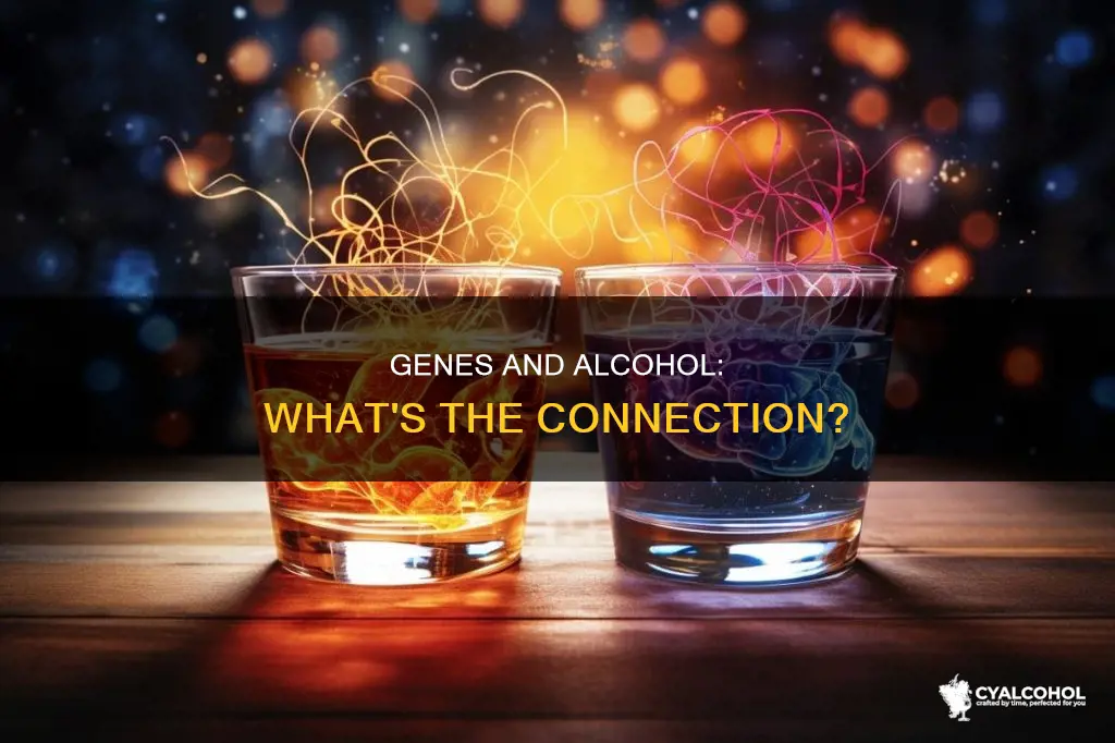 which statement regarding alcohol is most accurate the gene