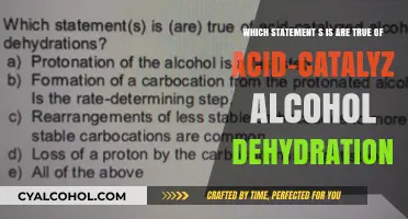 Acid-Catalyzed Alcohol Dehydration: What You Need to Know