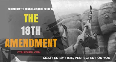 States That Outlawed Alcohol Before the 18th Amendment
