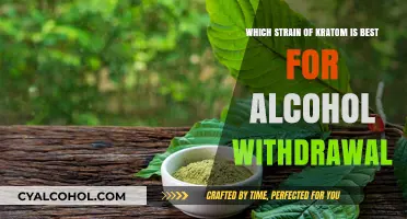 Kratom Strains to Ease Alcohol Withdrawal Symptoms